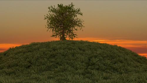 Cycles Grass and Tree preview image